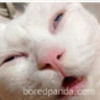 tribalfreak1